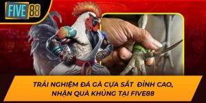 Trải Nghiệm Đá Gà Cựa Sắt Đỉnh Cao, Nhận Quà Khủng Tại Five88