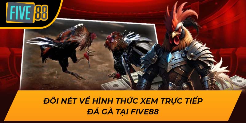 Đôi nét về hình thức xem trực tiếp đá gà tại Five88
