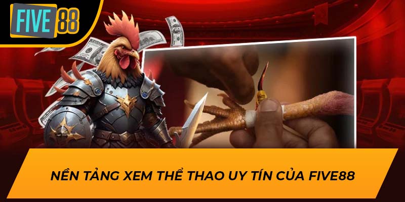 Nền tảng xem thể thao uy tín của Five88